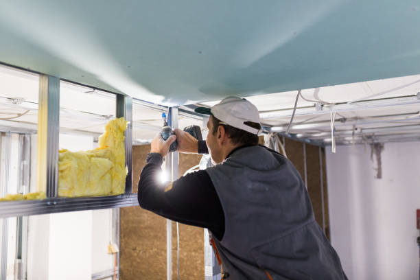 Best Residential Insulation in Muenster, TX